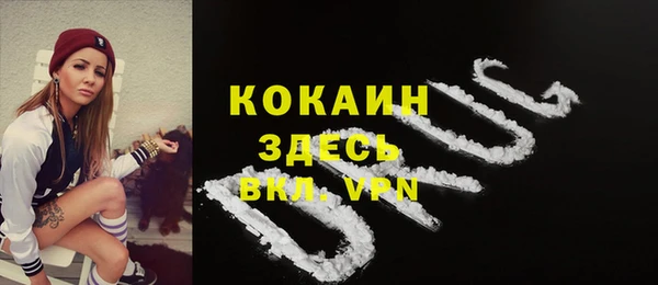 марки lsd Бородино