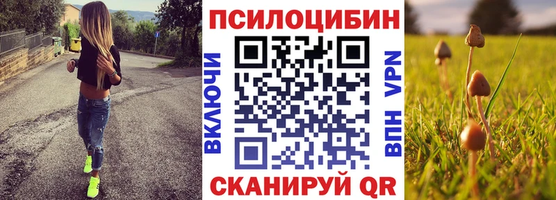 Галлюциногенные грибы прущие грибы  это Telegram  Унеча  ОМГ ОМГ ССЫЛКА 