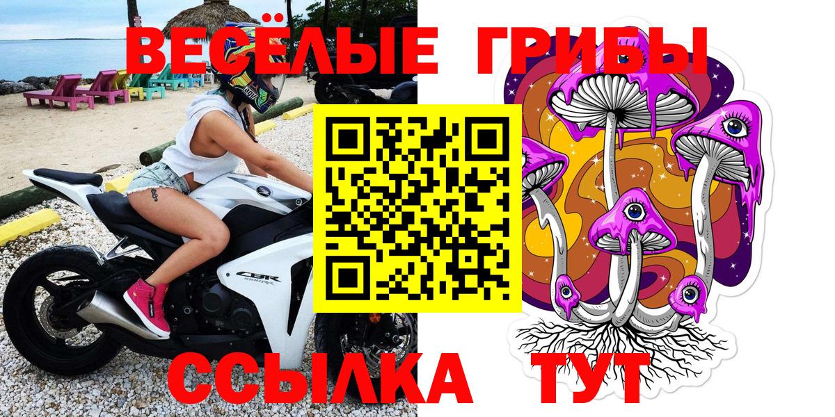 Псилоцибиновые грибы Psilocybe  Вход с VPN  Унеча 