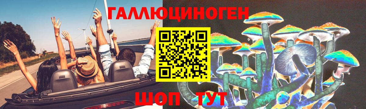 Псилоцибиновые грибы мухоморы Унеча